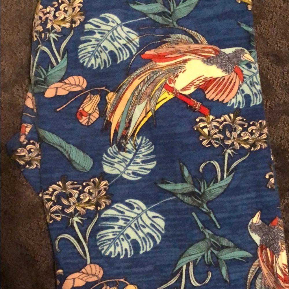 LuLaRoe Tall&Curvy Leggings